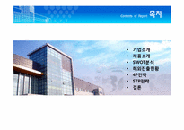 [국제마케팅] 디보스(DIBOSS) 해외진출전략-2