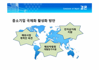 [국제마케팅] 디보스(DIBOSS) 해외진출전략-14