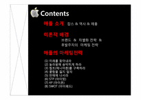 애플의 방식 -애플의 마케팅전략-2