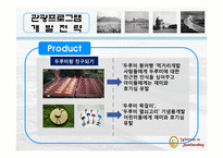 순천만 관광프로그램 개발전략-10
