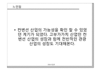 [관광사업론] 국내 컨벤션산업의 발전방향-20
