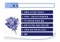 [국제금융] 글로벌 은행의 자기자본 비용 -1990~2009년의 CAPM 분석-3