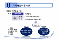 [국제금융] 글로벌 은행의 자기자본 비용 -1990~2009년의 CAPM 분석-4