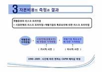 [국제금융] 글로벌 은행의 자기자본 비용 -1990~2009년의 CAPM 분석-14