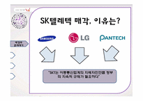 경제(기업)진화론으로 바라본 SK텔레시스의 `W` 출시-6