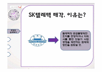 경제(기업)진화론으로 바라본 SK텔레시스의 `W` 출시-7