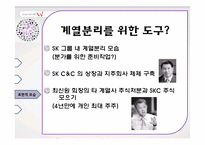 경제(기업)진화론으로 바라본 SK텔레시스의 `W` 출시-13