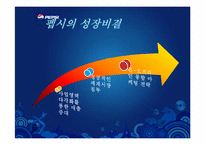 펩시 경영분석 레포트-17