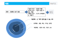 [마케팅] 닌텐도 Wii의 성공전략과 위기 그리고 위기극복전략 분석-11