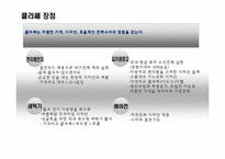 [소비자행동] 대우 일렉트로닉스의 클라쎄 전략-10