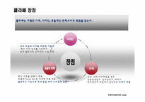 [소비자행동] 대우 일렉트로닉스의 클라쎄 전략-11