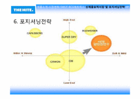 [마케팅] 전략적 마케팅 계획 -하이트맥주, TGIF-8