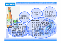 [마케팅] 전략적 마케팅 계획 -하이트맥주, TGIF-10