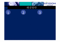 [경영정보시스템] 신도리코 ERP 혁신전략-12