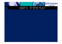 [경영정보시스템] 신도리코 ERP 혁신전략-13