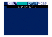 [경영정보시스템] 신도리코 ERP 혁신전략-17