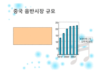 [국제마케팅] SM Entertainment(SM엔터테인먼트) 중국시장 진출 전략-5