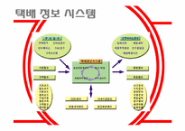 대한통운의 경영 정보 시스템-18