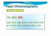 [화학] Paper Chromatography(종이 크로마토그래피)-8
