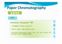 [화학] Paper Chromatography(종이 크로마토그래피)-10