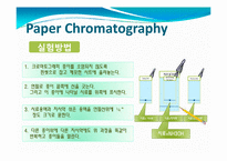 [화학] Paper Chromatography(종이 크로마토그래피)-11