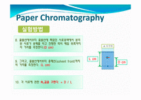 [화학] Paper Chromatography(종이 크로마토그래피)-14