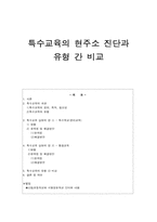 특수교육의 현주소 진단과 유형 간 비교-1