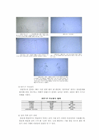 제 6장. 학습장애-2