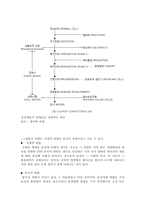원자력이 해결해 나가야 할 과제와 방안-9
