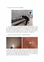 국립중앙박물관 관람 보고서-5