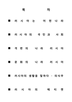러시아의 문화의 이해-2