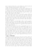 [정보사회] 정치의 정보화-10