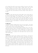 제 1차 세계대전-7