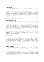 제 1차 세계대전-12