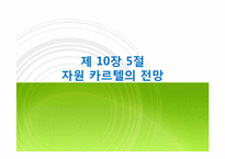 제 10장 5절 자원 카르텔의 전망-1
