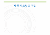 제 10장 5절 자원 카르텔의 전망-2