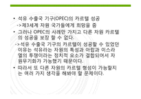 제 10장 5절 자원 카르텔의 전망-3
