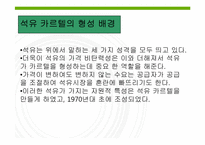 제 10장 5절 자원 카르텔의 전망-6