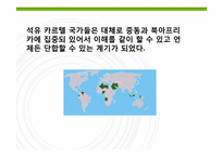제 10장 5절 자원 카르텔의 전망-7