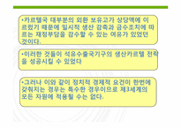 제 10장 5절 자원 카르텔의 전망-8