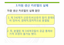 제 10장 5절 자원 카르텔의 전망-15