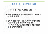 제 10장 5절 자원 카르텔의 전망-17