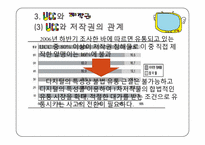 UCC와 저작권 레포트-11
