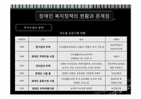 장애인 문제와 복지대책-20