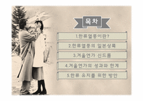 한류열풍 -일본`겨울연가`를 중심으로-2