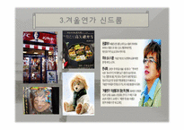 한류열풍 -일본`겨울연가`를 중심으로-9