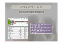 한류열풍 -일본`겨울연가`를 중심으로-10