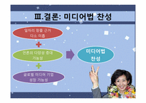 미디어법 -신문법, 방송법에 대한 여야 갈등-11