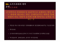 중국 국가대전략-12
