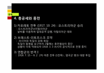 제 1차 세계대전 원인,전개,결과 및 영향-11